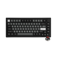 # Akko 5075B Plus Black & Silver - Fully Assembled Hot-Swap Multi-Mode Wireless RGB Mechanical Keyboard #