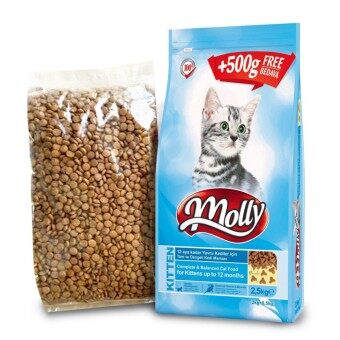 Food molly cat Makanan Kucing
