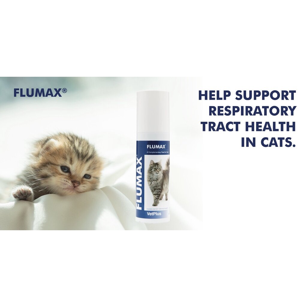 VetPlus Flumax Supplement Cat Flu Prevention Respiratory Tract Care multivitamin vitamin kucing