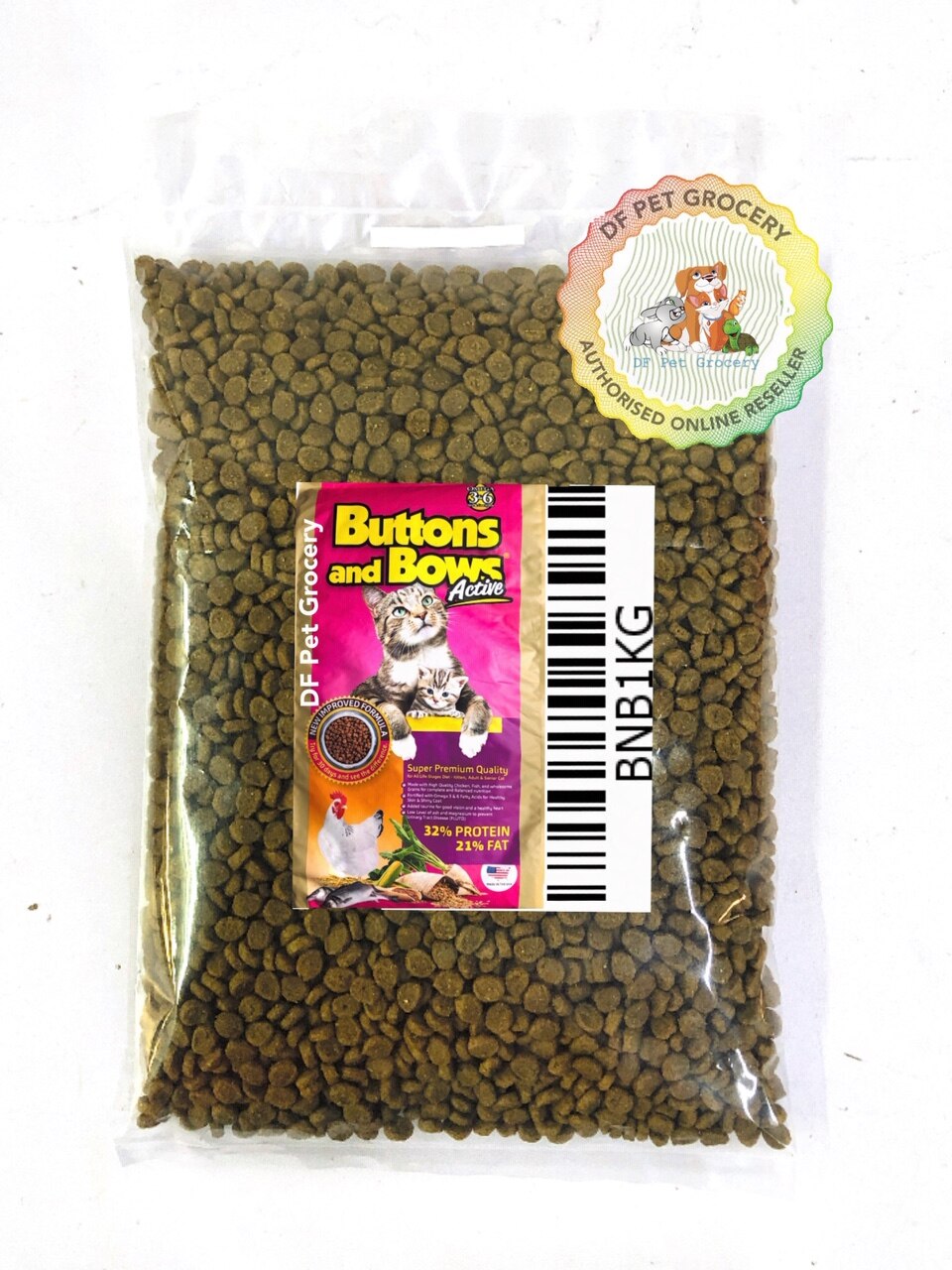 button and bows kitten