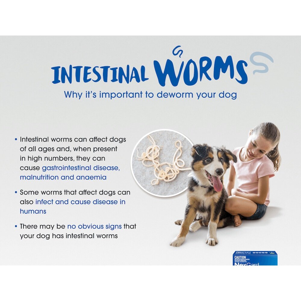 Nexgard Spectra Monthly Chewable Tablet for Medium Dogs (7.5 15kg