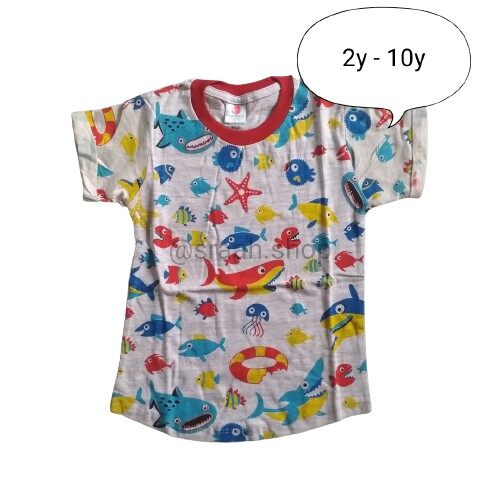 BAJU T-SHIRT BUDAK LELAKI