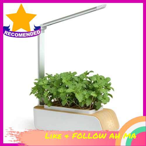 BEST SELLER Hydroponics Growing System, Indoor Herb Garden Kit With ...