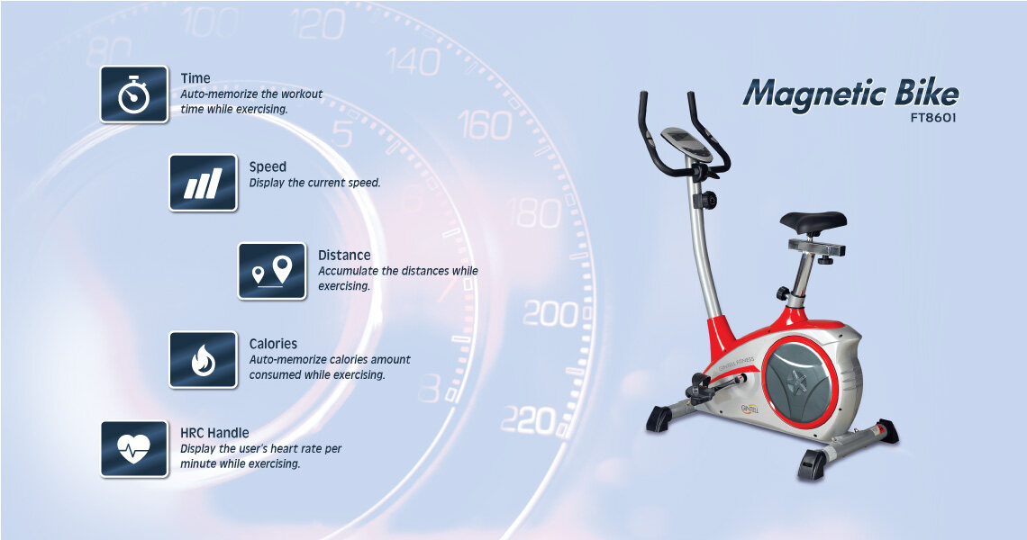 [FREE Shipping] GINTELL Magnetic Fitness Bike
