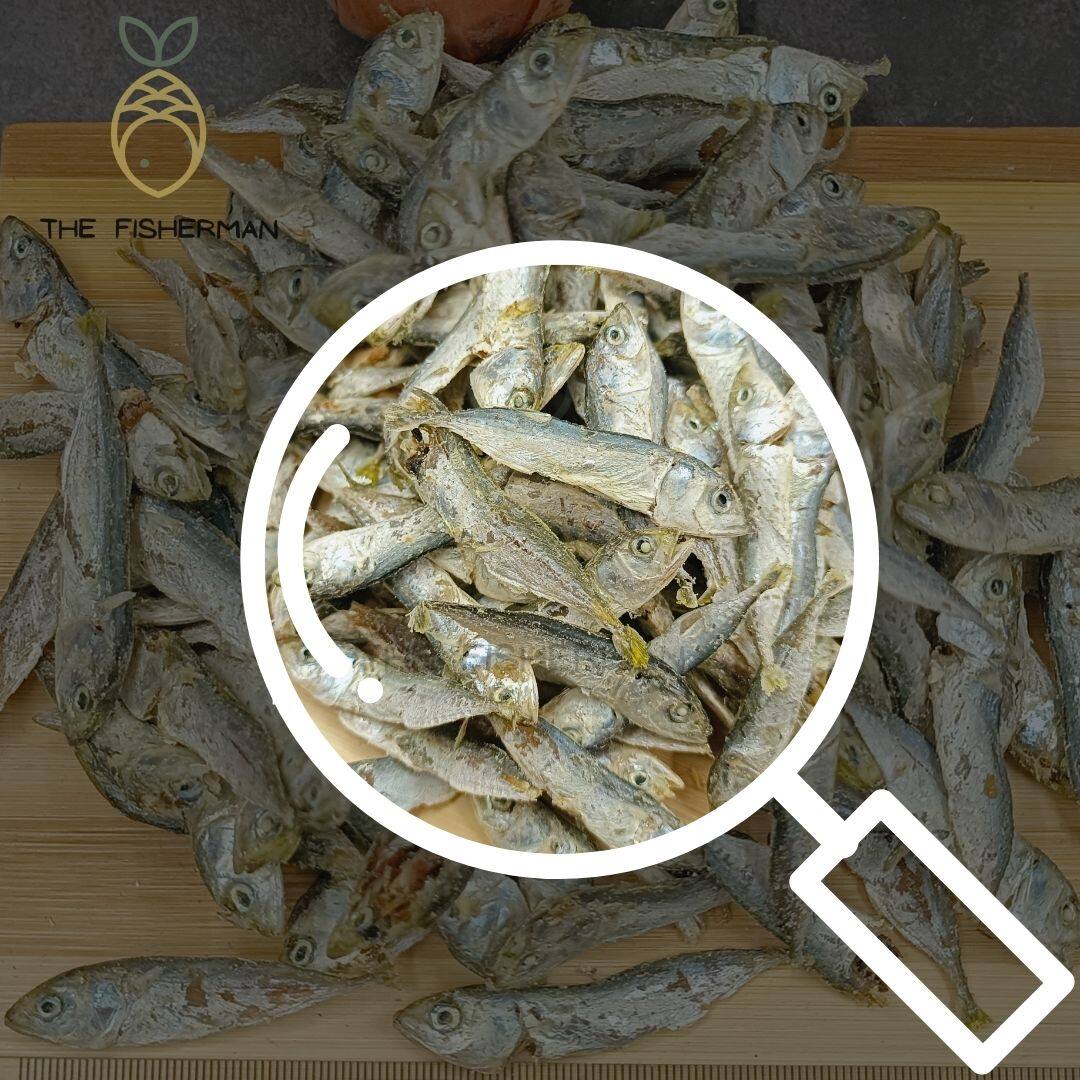 [Borong] Ikan Bilis Kembung 5A 甘文江鱼仔 100% Fresh 5A | Masak Sambal | Gift for Mak Mertua 送礼佳品 (1KG/500G/300G) - The Fisherman