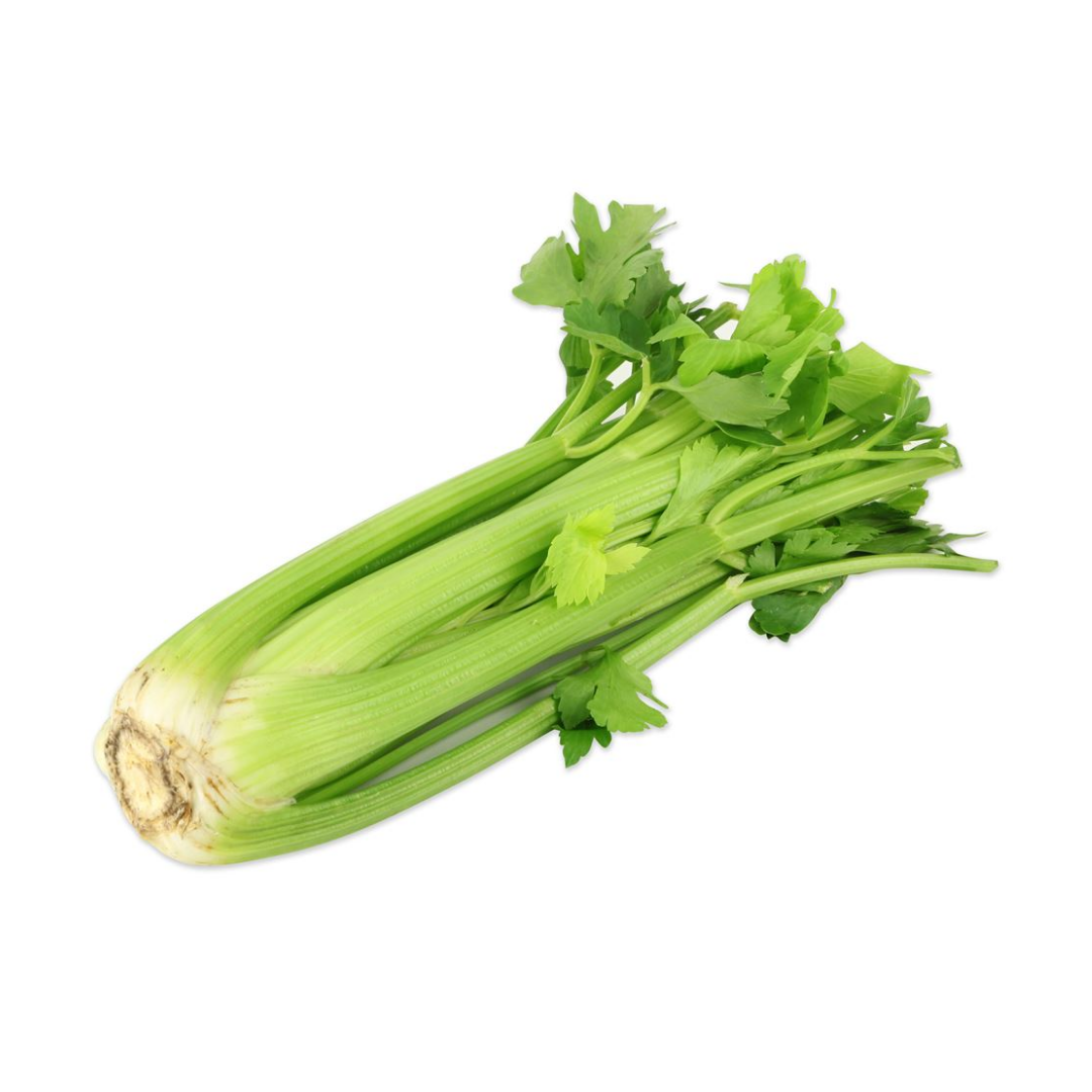 Celery 1kg (sold per kg) Alcofresh 西芹 Seleri