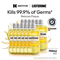Listerine Original Mouthwash 750ml Twin Pack