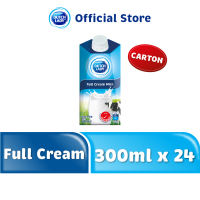 [CARTON] Dutch Lady Milk Full Cream RSS 24x300ml