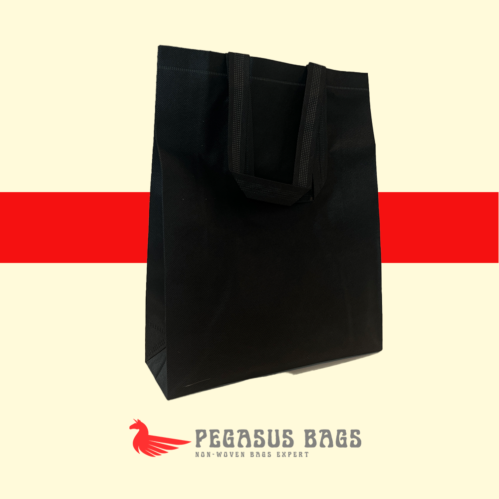 [10PCS] CHEAPEST NON WOVEN BAG IN LAZADA / A4 SIZE / 25x35x10 / READY TO SHIP / ECOBAG / GOODIE BAG