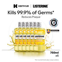 Listerine Original Mouthwash 750ml x 6