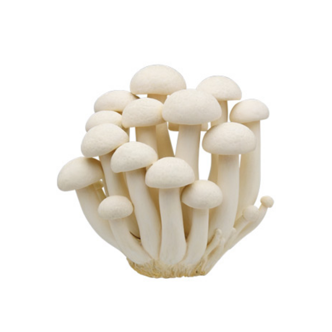 Bunapi Mushroom (White) 150g (sold per pack) Alcofresh Cendawan Bunapi