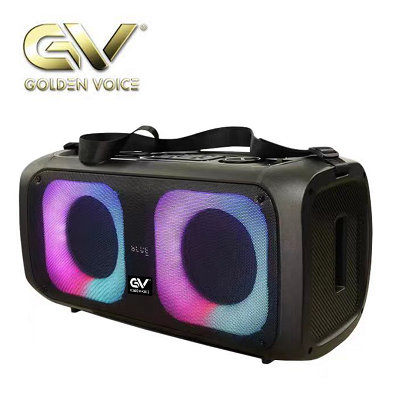 GOLDEN VOICE PS-625H LED PARTY PORTABLE SPEAKER
