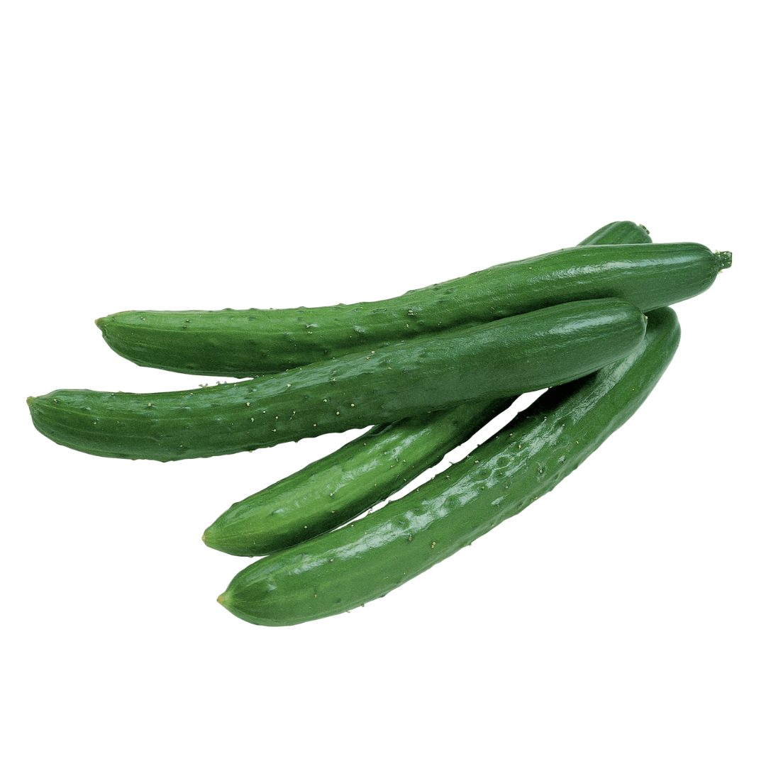 Kyuri (Japanese Cucumber) 1kg (sold per kg) Alcofresh 日本青瓜 Timun Jepun