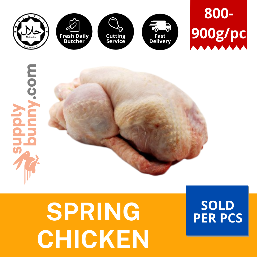 Whole Spring Chicken 800g-900g/pc (sold per pcs) Halal ✔️  童子鸡 MCY Food Supply Ayam Percik