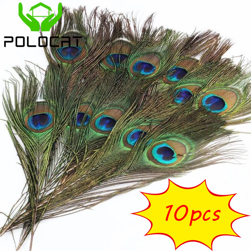 Polocat Hot Sale 10pcs Real Natural Peacock Tail Eyes Feathers Wedding Festival Party Decoration