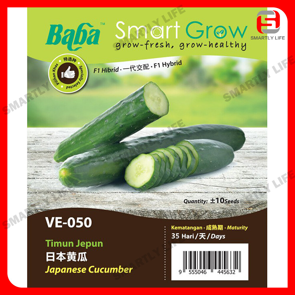 Buy Online Baba Smart Grow Seed: VE-050 F1 Japanese Cucumber 日 本 黄 瓜 Timun ...