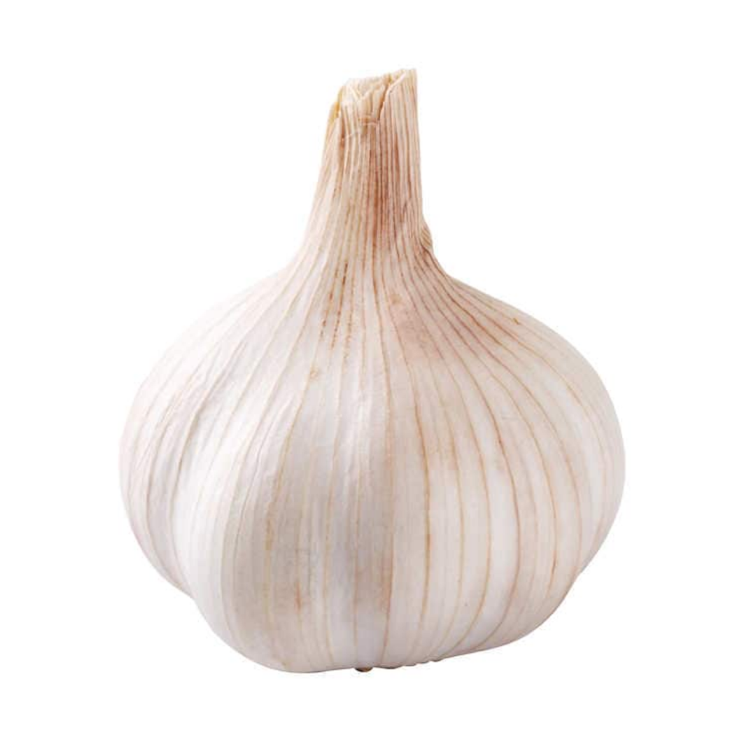 Whole Garlic 1kg (sold per kg) Alcofresh 整个大蒜 Bawang Putih