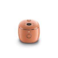 Tefal Pop Rice Cooker 0.7L Eucalyptus