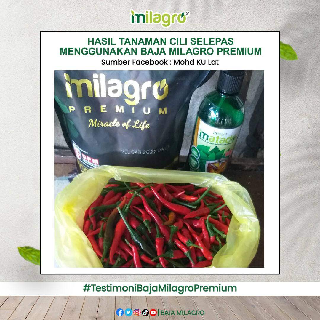 MILAGRO PREMIUM - Baja Organik Premium + Free Gift Biji Benih