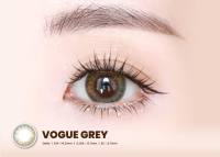 Horien HYDRON Star Shine 38% Daily Disposable Hydrogel Soft Color Contact Lenses (10 Pcs / Boxes)
