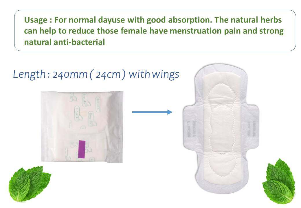 Biosilk Herbal Maxi Dayuse Sanitary Napkins / Pads 24cm