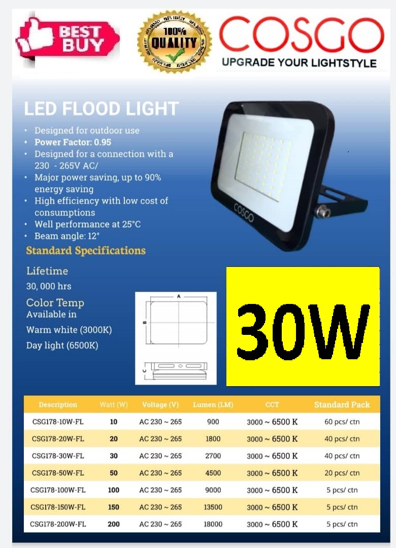 COSGO 30W LED FLOOD LIGHT (3000k/6500k)