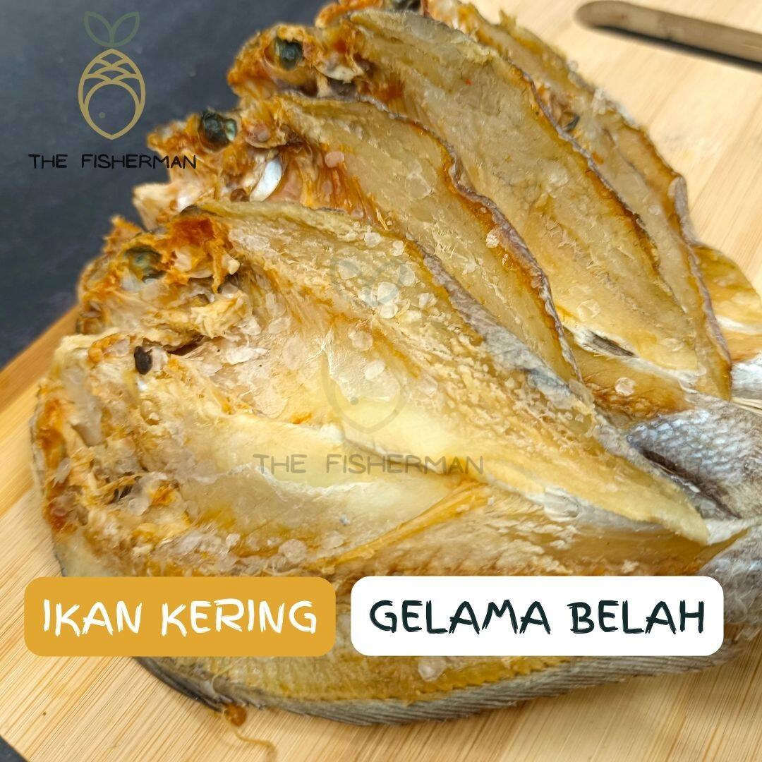 [Borong/Wholesale] Ikan Masin Gelama Belah Tawar 100% SEGAR (150G/300G/500G/1KG) - The Fisherman