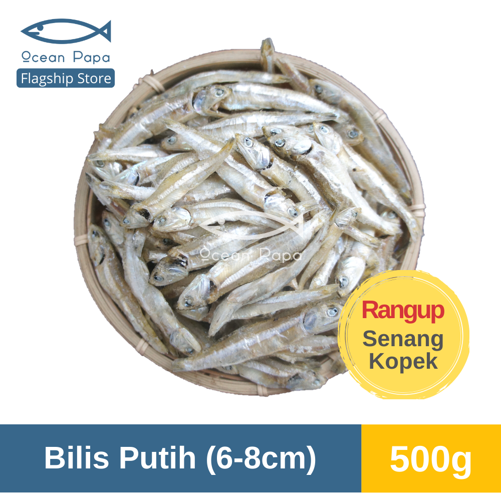 8.8 Ocean Papa Ikan Bilis Putih Saiz L Gred AAA (500g) [Borong] / [Wholesale] Ocean Papa Dried White Anchovy L Size (500g) LazChoice