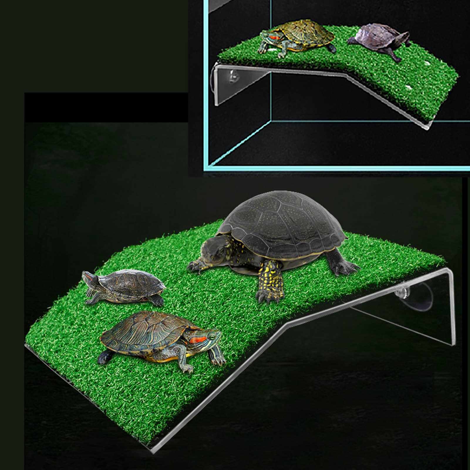 Turtle Ramp Turtle Basking Platform Tortoise Ramp Reptile Ladder