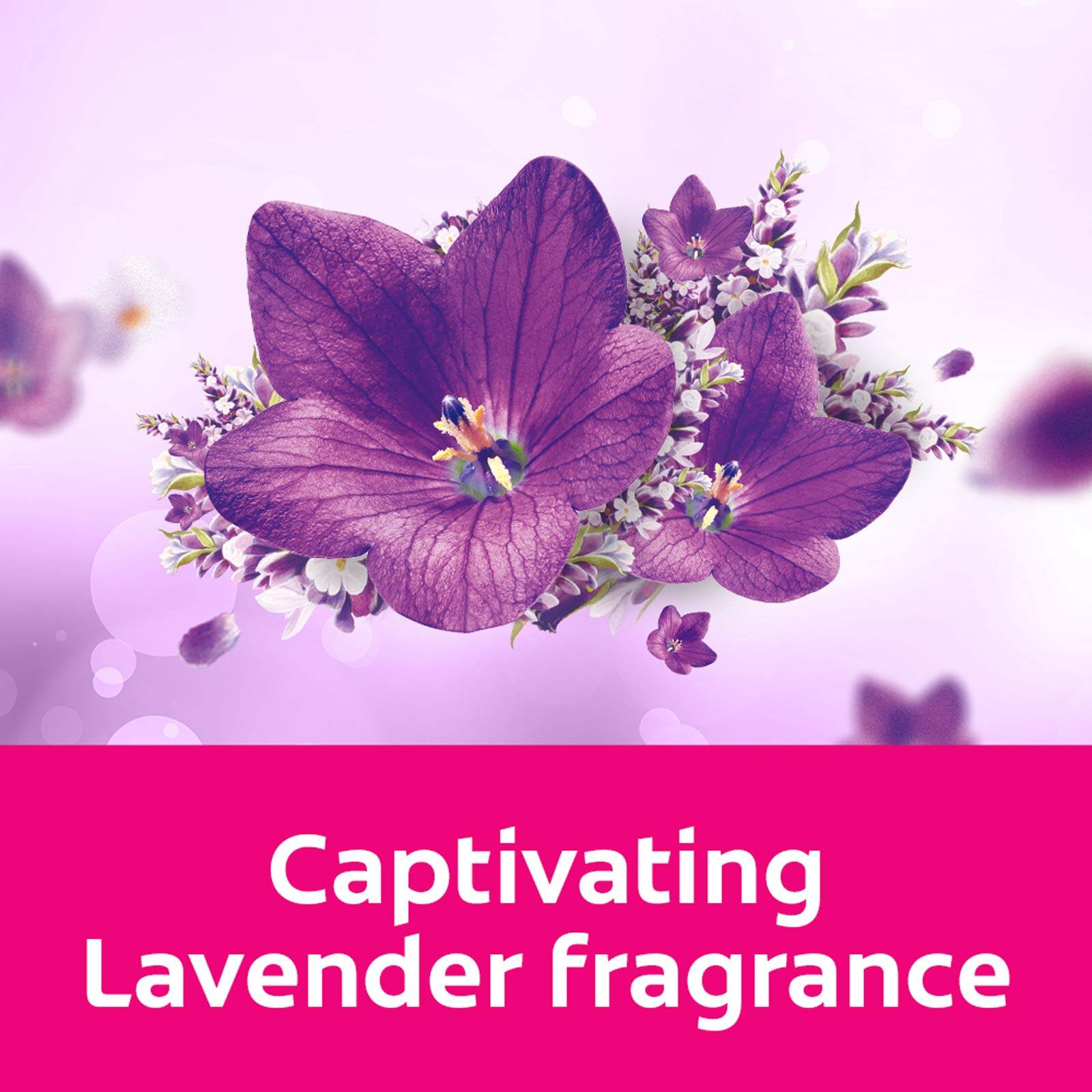 Softlan / Anti Wrinkles Lavender Fresh (Purple) / Fabric Softener / 3L
