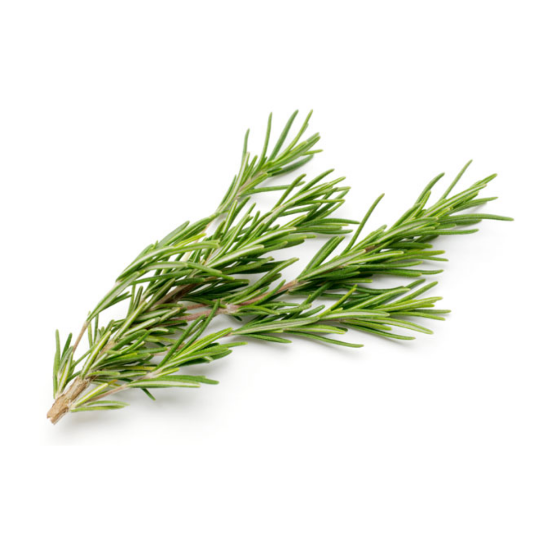 KLANG VALLEY ONLY! Rosemary 50g (sold per bundle)