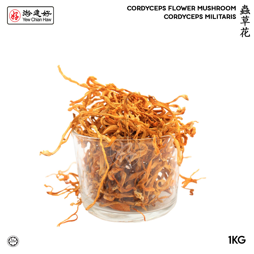 YCH Herbs 蟲草花袋裝 (1公斤) Cordyceps Militaris / Cordyceps Flower (1KG Pack) (2 years shelf life) HALAL Mushroom Cendawan