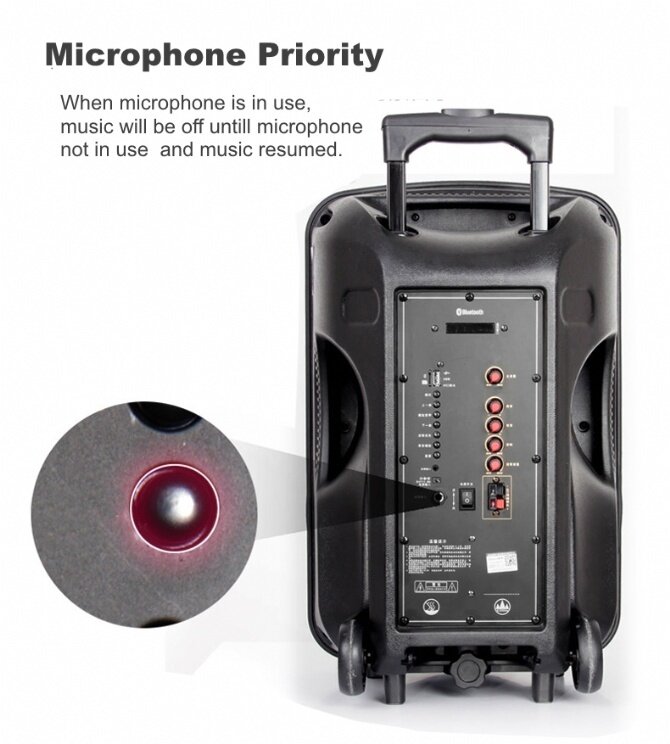 Shinco H303 500W Portable Trolley Guitar Speaker Karaoke Amplifier