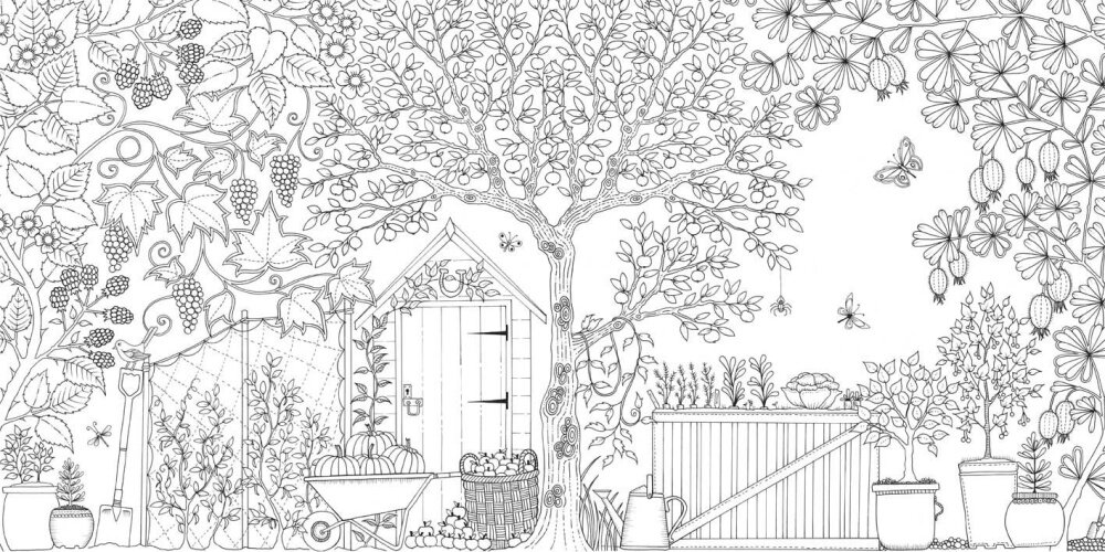 Please Make Sure That Any Color Pen Pencil Is NOT Included Secret Garden Coloring Book English Version