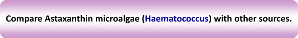 crystal eyes-banner 1