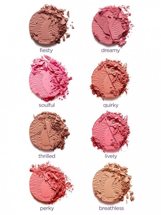 big blush book 2 swatches shades