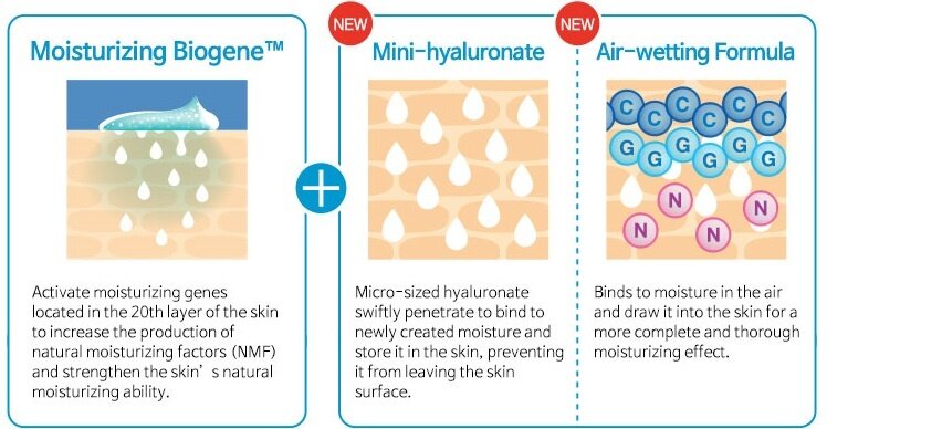 Enhance moisturizing ability to resolve skin dryness img