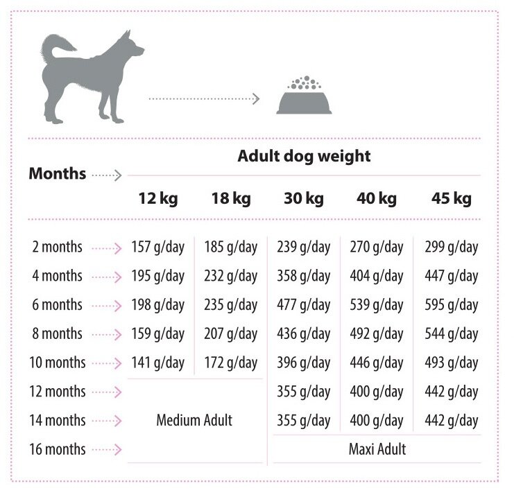 Junior_Lamb_feeding_guide_EN