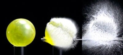 Picture of RX10 II with 24–200 mm F2.8 Lens