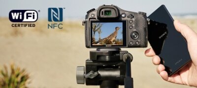 Picture of RX10 II with 24–200 mm F2.8 Lens