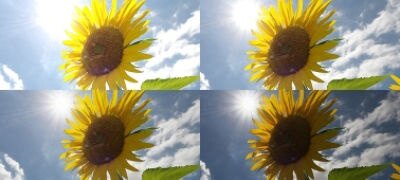 Picture of RX10 II with 24–200 mm F2.8 Lens