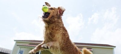 Picture of RX10 II with 24–200 mm F2.8 Lens